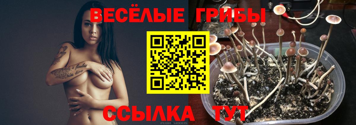 Галлюциногенные грибы Magic Shrooms Борзя